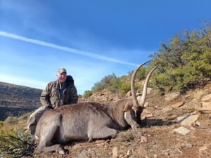 Waterbuck 31'